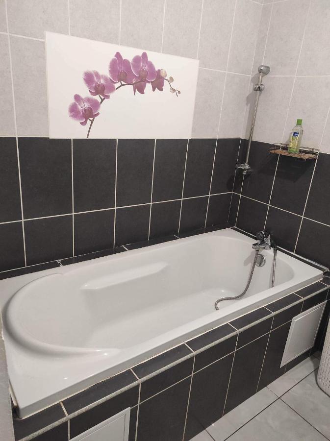 Ferienwohnung Location Saisonniere Les Bibassiers Le Tampon Exterior foto